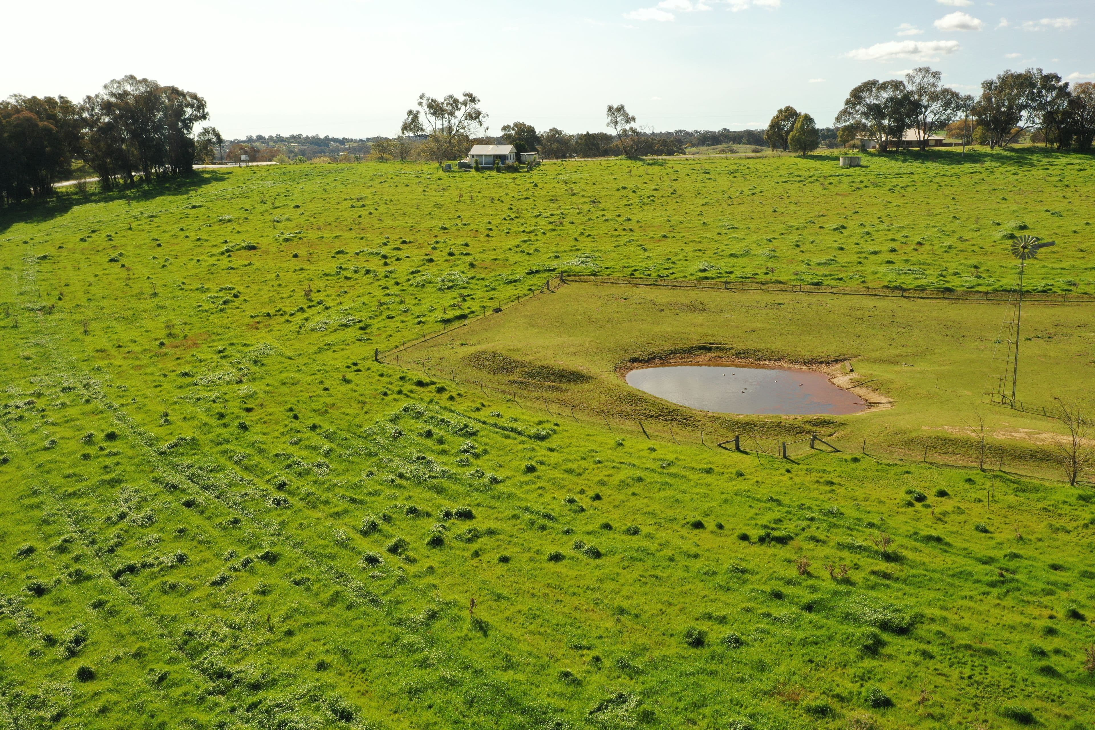 4207 Murringo Road, Young NSW 2594, Young - Thumbnail 4