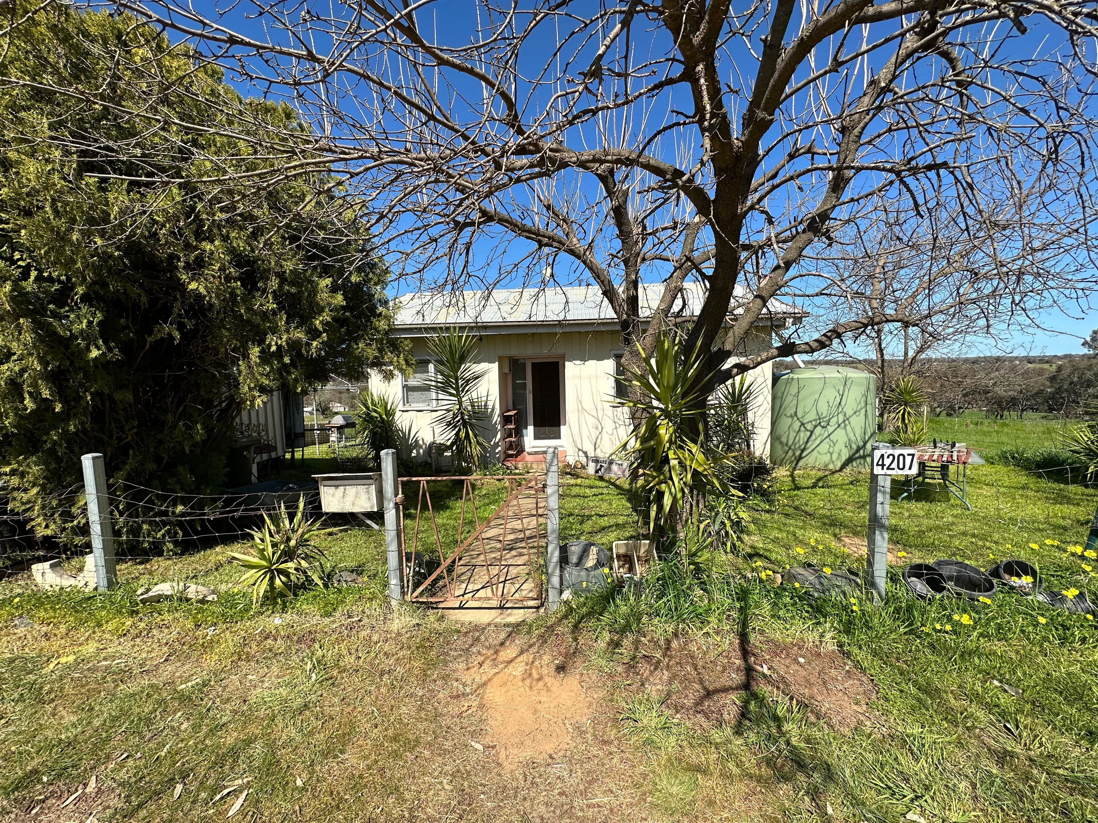 4207 Murringo Road, Young NSW 2594, Young - Thumbnail 6