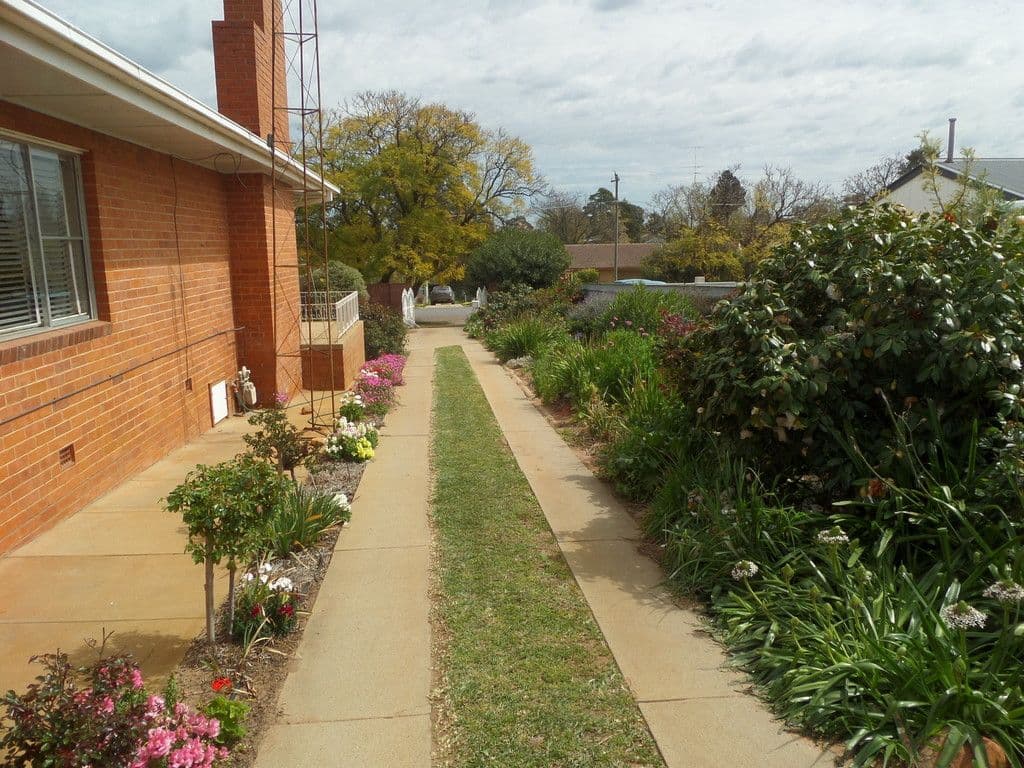 29 Frederica Street, Narrandera NSW 2700, Narrandera - Thumbnail 5