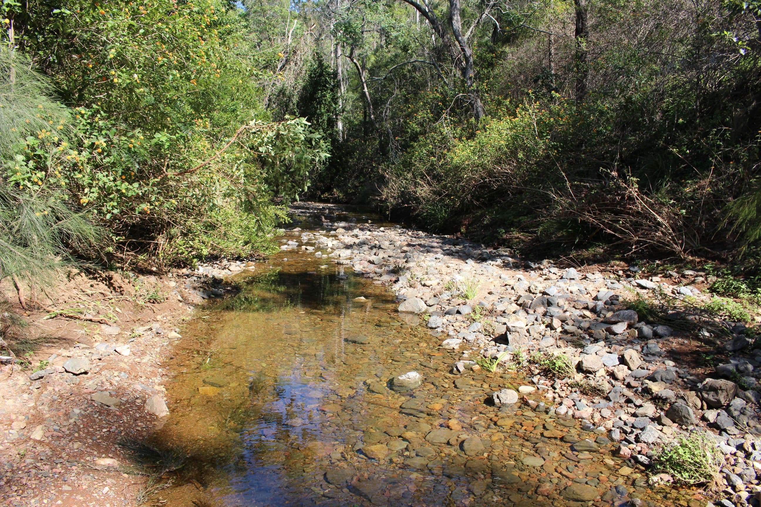Banks Creek QLD 4306, Banks Creek - Thumbnail 7