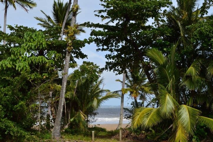 76 Porter Promenade, Mission Beach QLD 4852, Mission Beach - Thumbnail 8