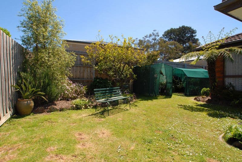 33 Edina Road, FERNTREE GULLY VIC 3156, Ferntree Gully - Thumbnail 4