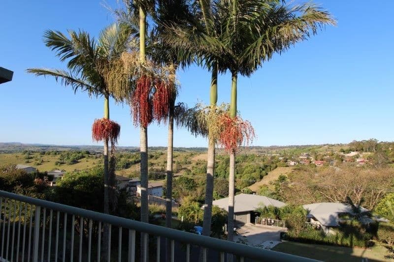 15 Gallagher Drive, LISMORE HEIGHTS NSW 2480, Lismore Heights - Thumbnail 5