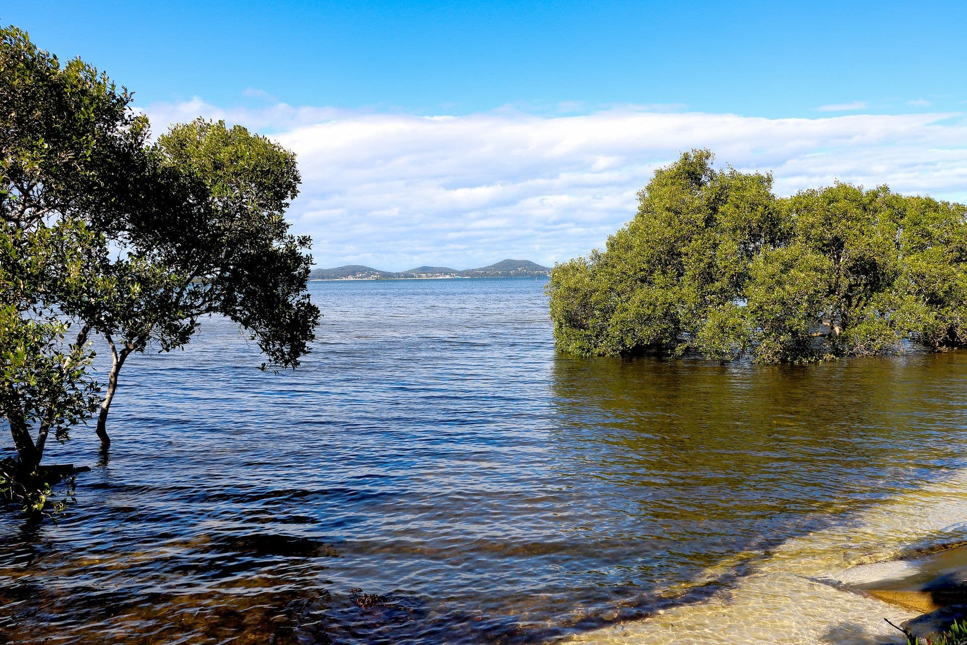 1/71 Marine Drive, Tea Gardens, NSW, 2324, Pindimar - Thumbnail 2