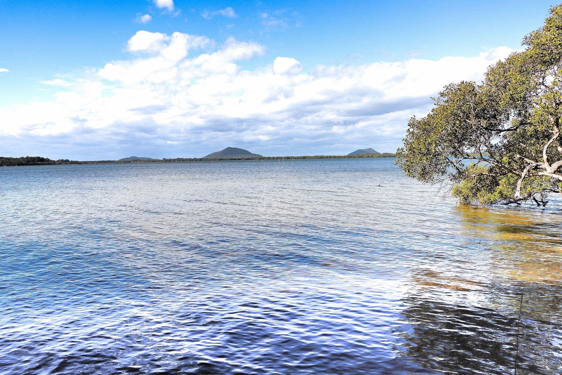 1/71 Marine Drive, Tea Gardens, NSW, 2324, Pindimar - Thumbnail 4