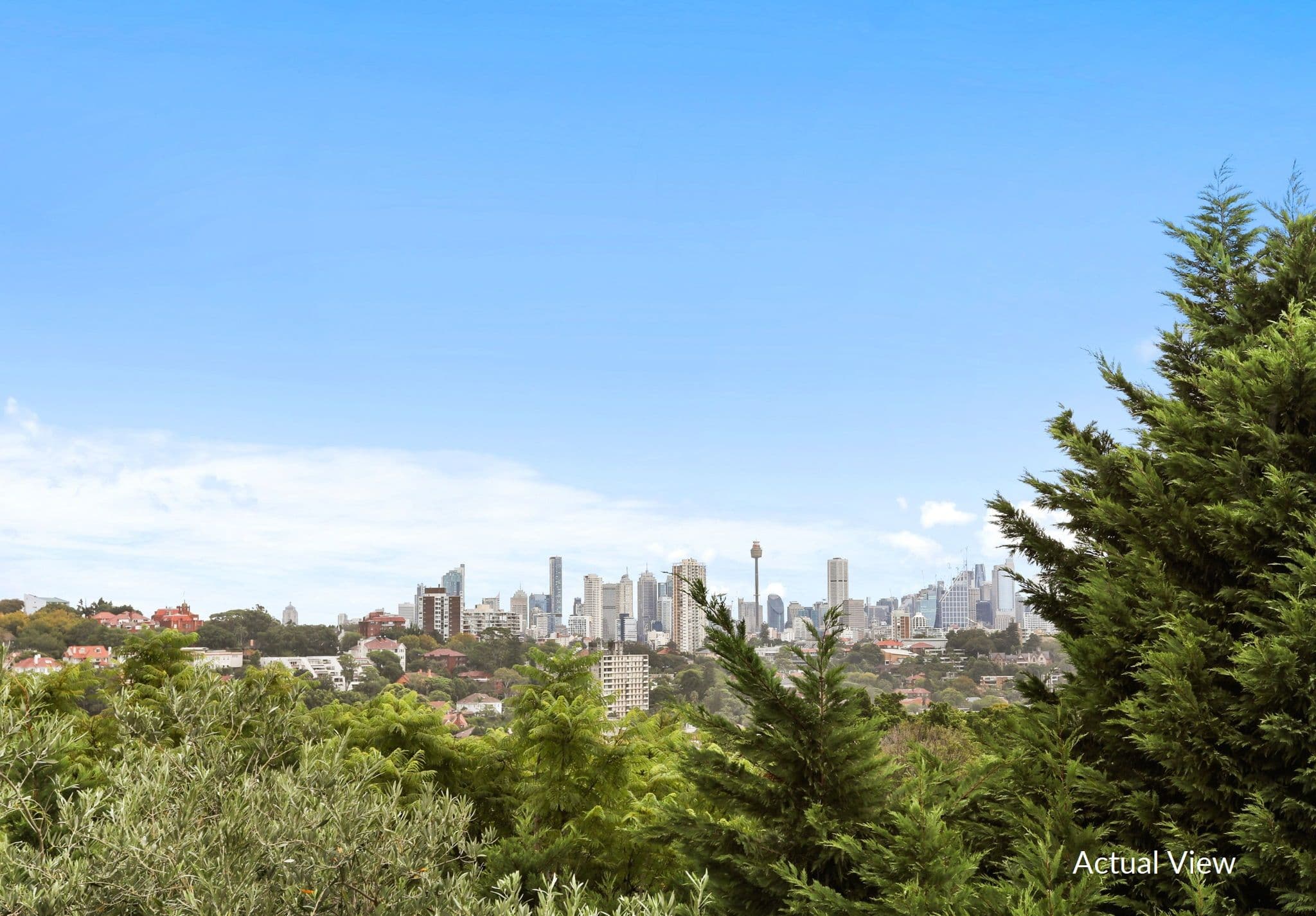 2C Bulkara Road, Bellevue Hill NSW 2023, Bellevue Hill - Thumbnail 6