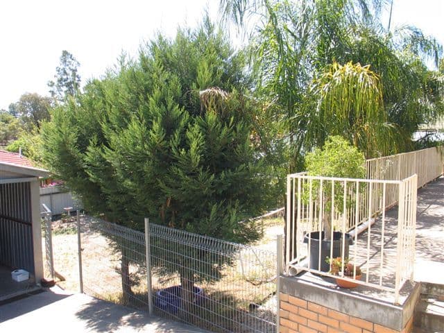 1149 Lower North East Road, HIGHBURY SA 5089, Highbury - Thumbnail 7