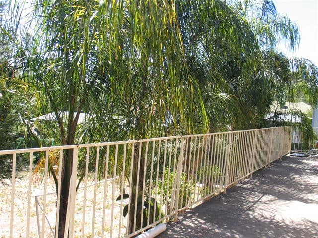 1149 Lower North East Road, HIGHBURY SA 5089, Highbury - Thumbnail 8