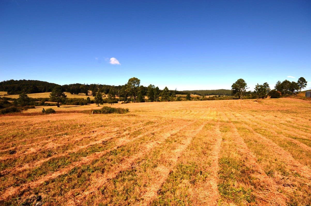 Lot 13 Cavanaghs Road, Lowanna NSW 2450, Lowanna - Thumbnail 2