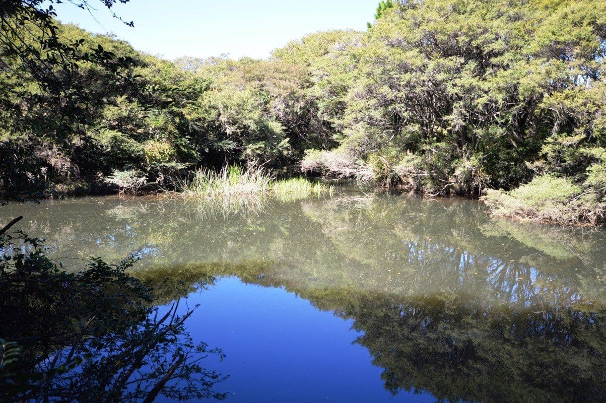 Lot 13 Cavanaghs Road, Lowanna NSW 2450, Lowanna - Thumbnail 3