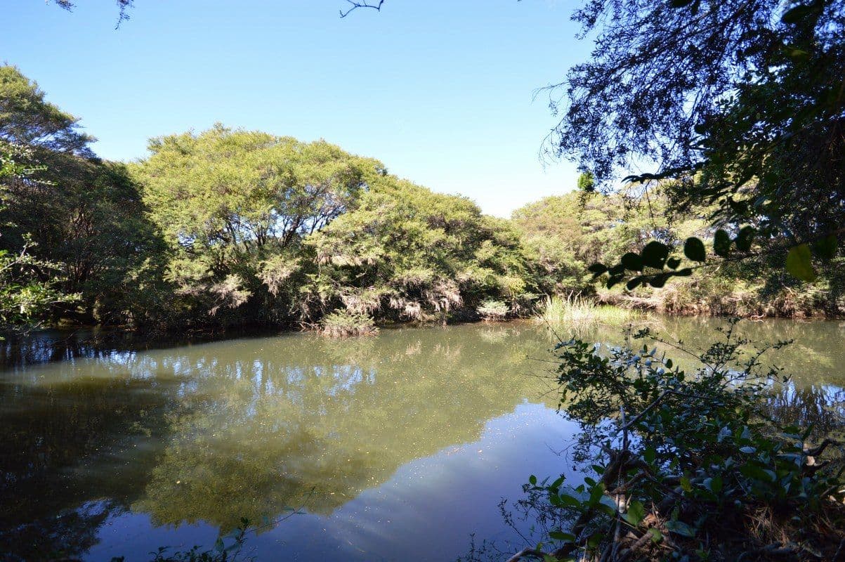 Lot 13 Cavanaghs Road, Lowanna NSW 2450, Lowanna - Thumbnail 6