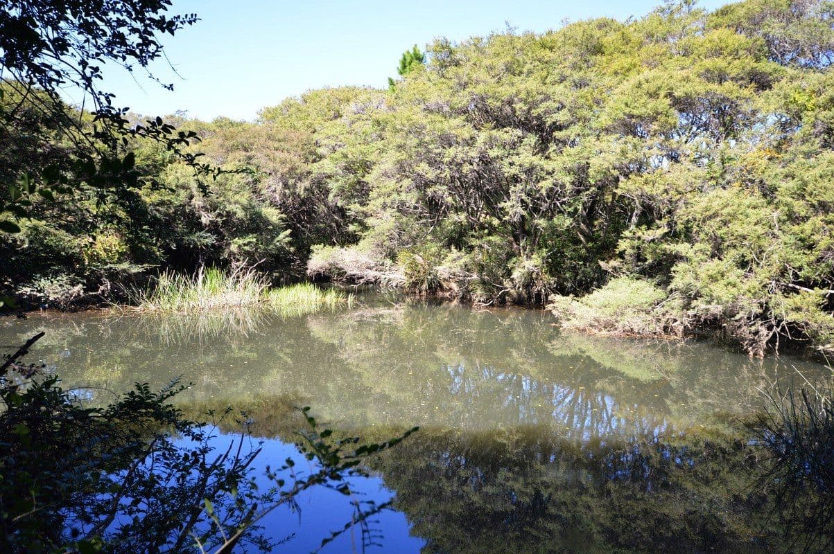 Lot 13 Cavanaghs Road, Lowanna NSW 2450, Lowanna - Thumbnail 7