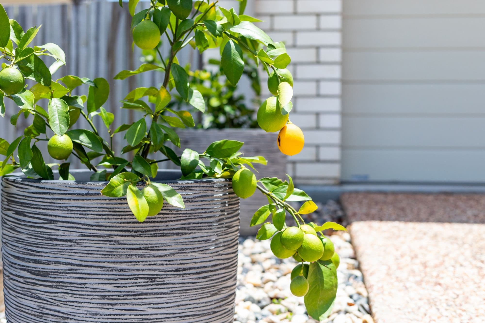 17 Palmerston Street, North Lakes QLD 4509, North Lakes - Thumbnail 6