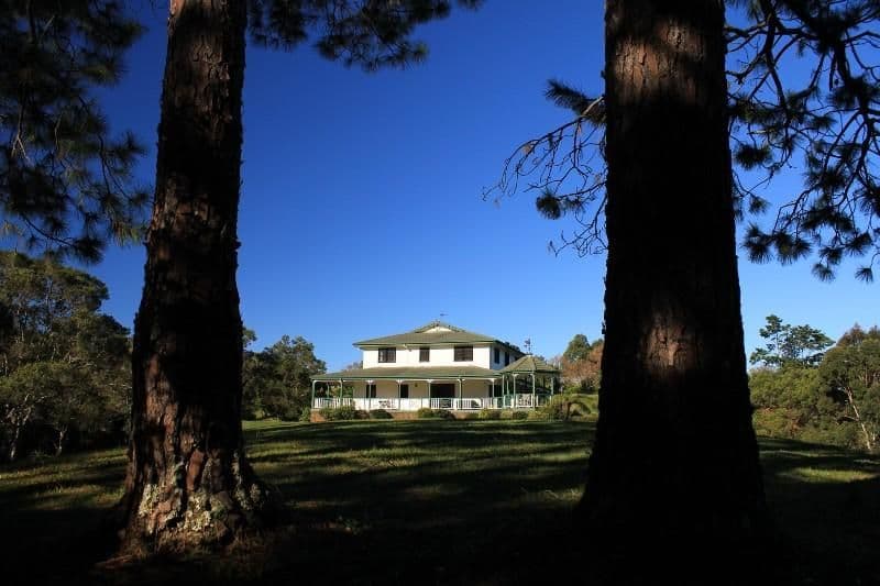 MONTVILLE QLD 4560, Montville - Thumbnail 5