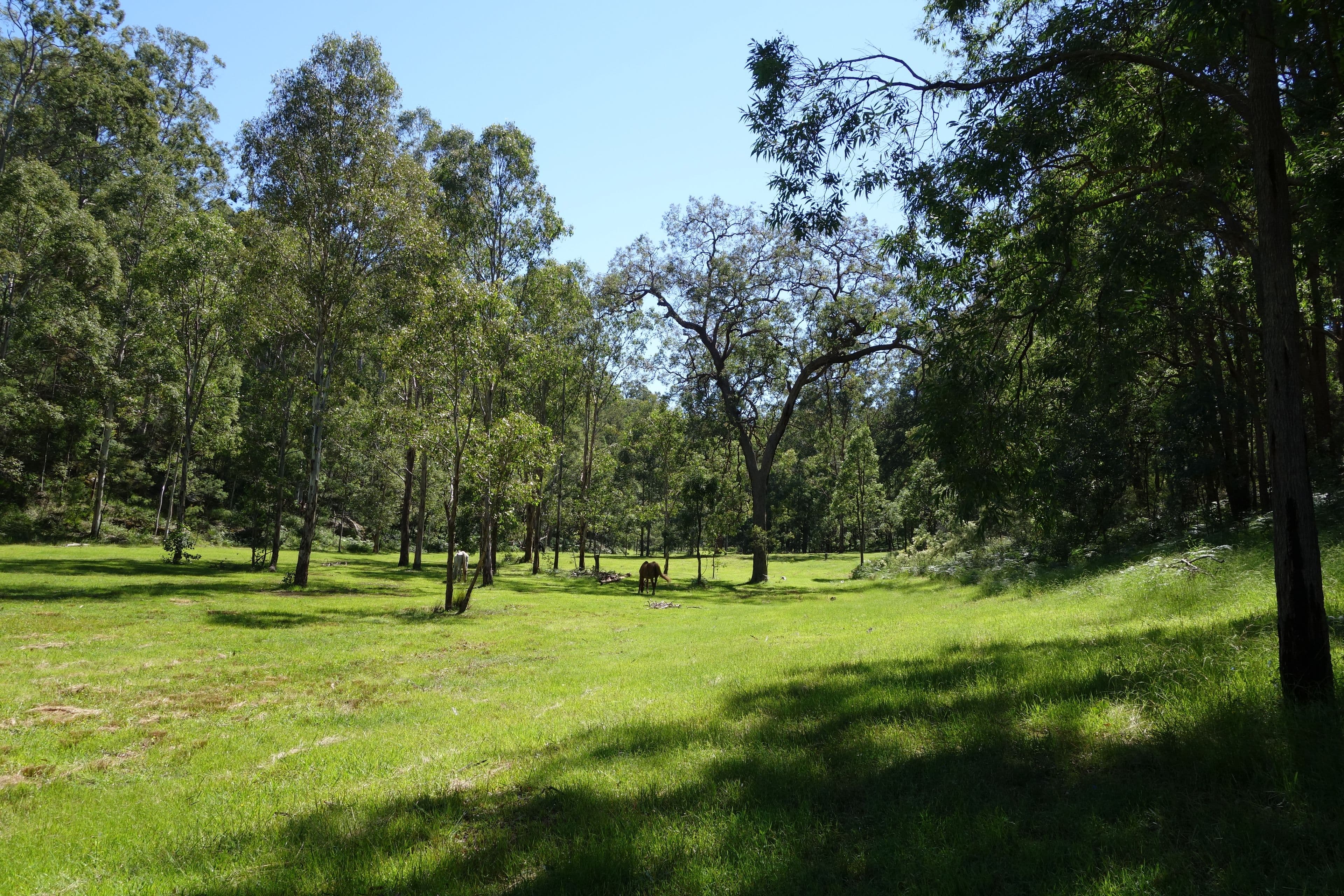 1300 Putty Valley Road, Putty NSW 2330, Putty - Thumbnail 2