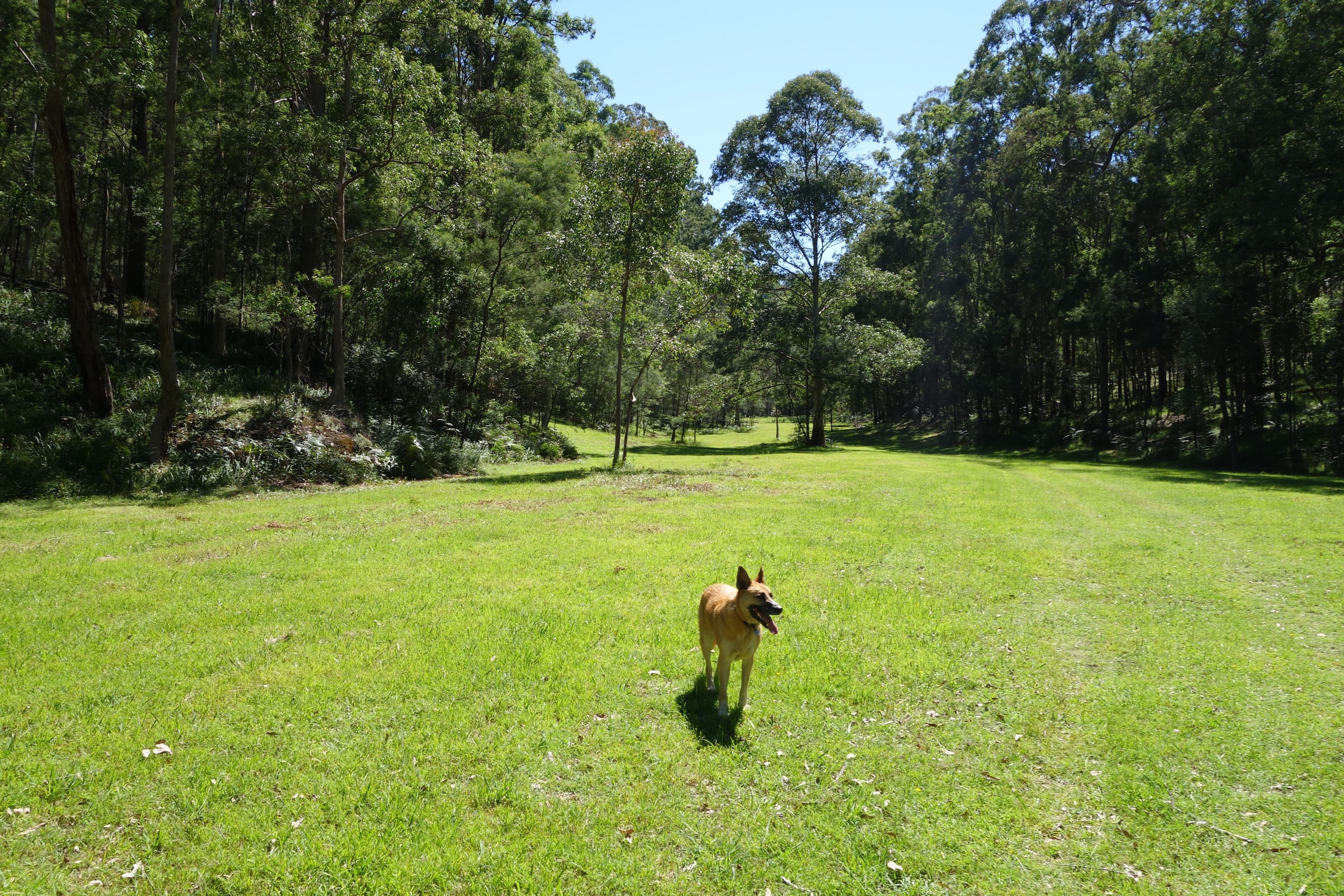 1300 Putty Valley Road, Putty NSW 2330, Putty - Thumbnail 3