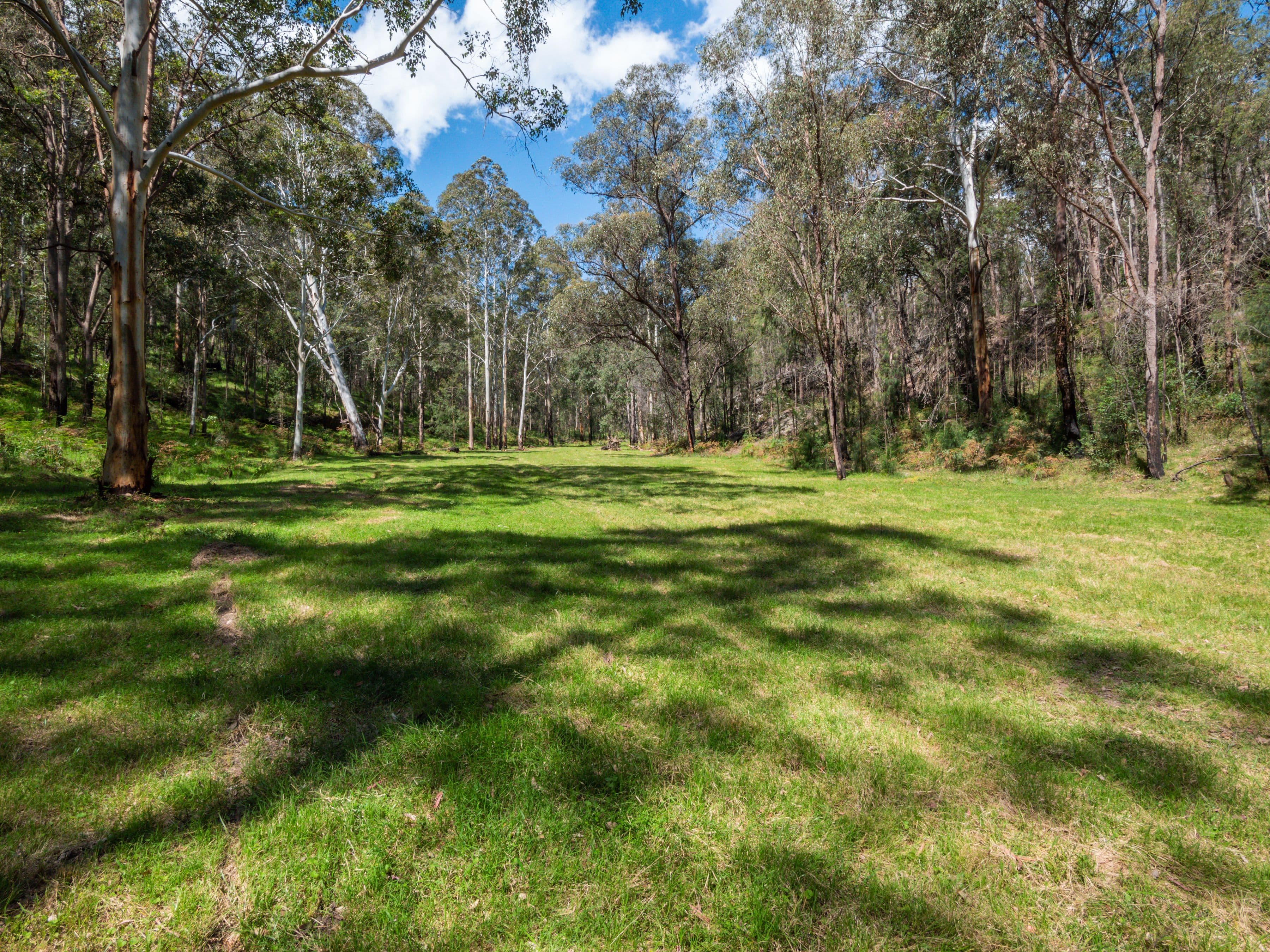 1300 Putty Valley Road, Putty NSW 2330, Putty - Thumbnail 5