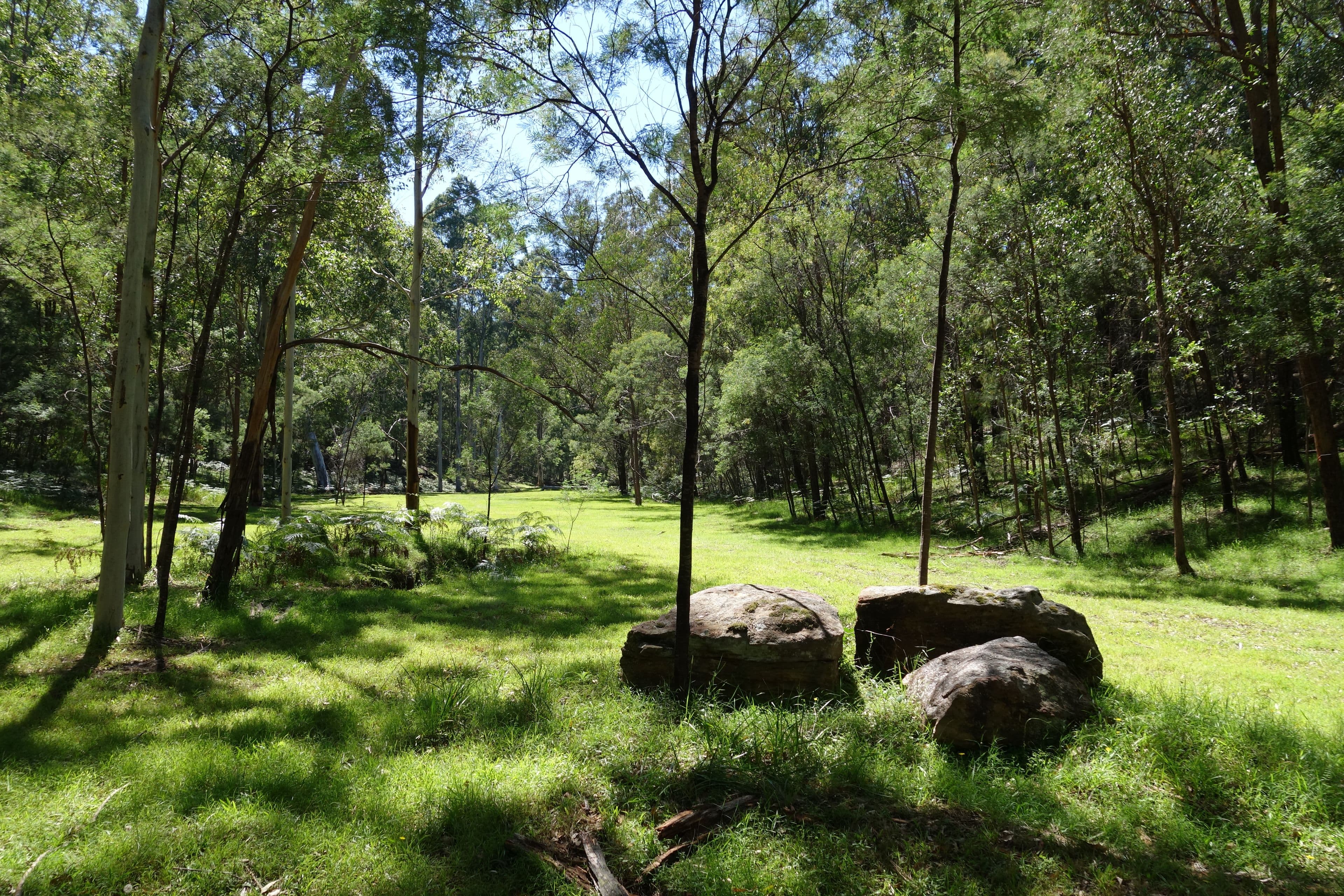 1300 Putty Valley Road, Putty NSW 2330, Putty - Thumbnail 6