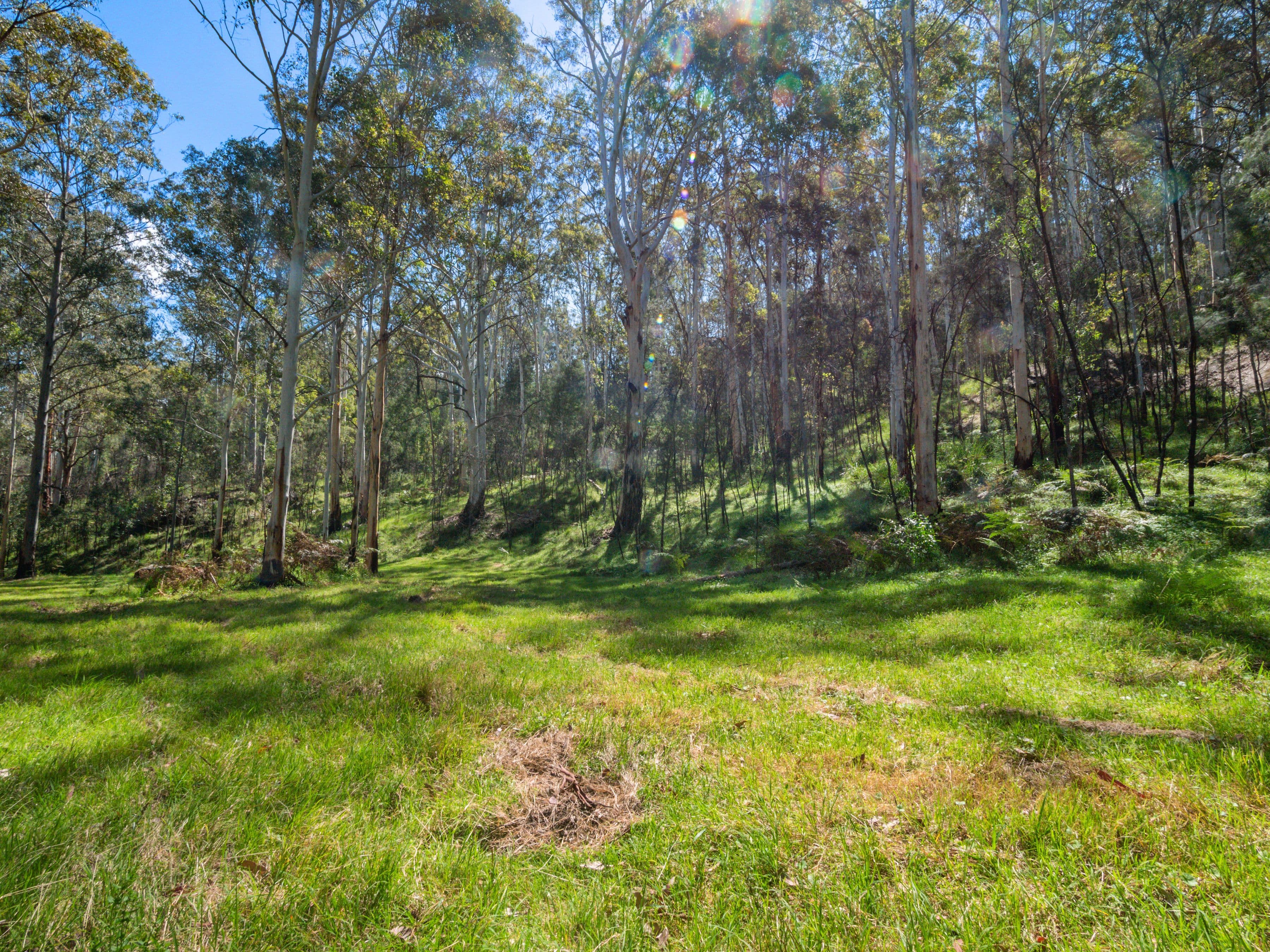 1300 Putty Valley Road, Putty NSW 2330, Putty - Thumbnail 7