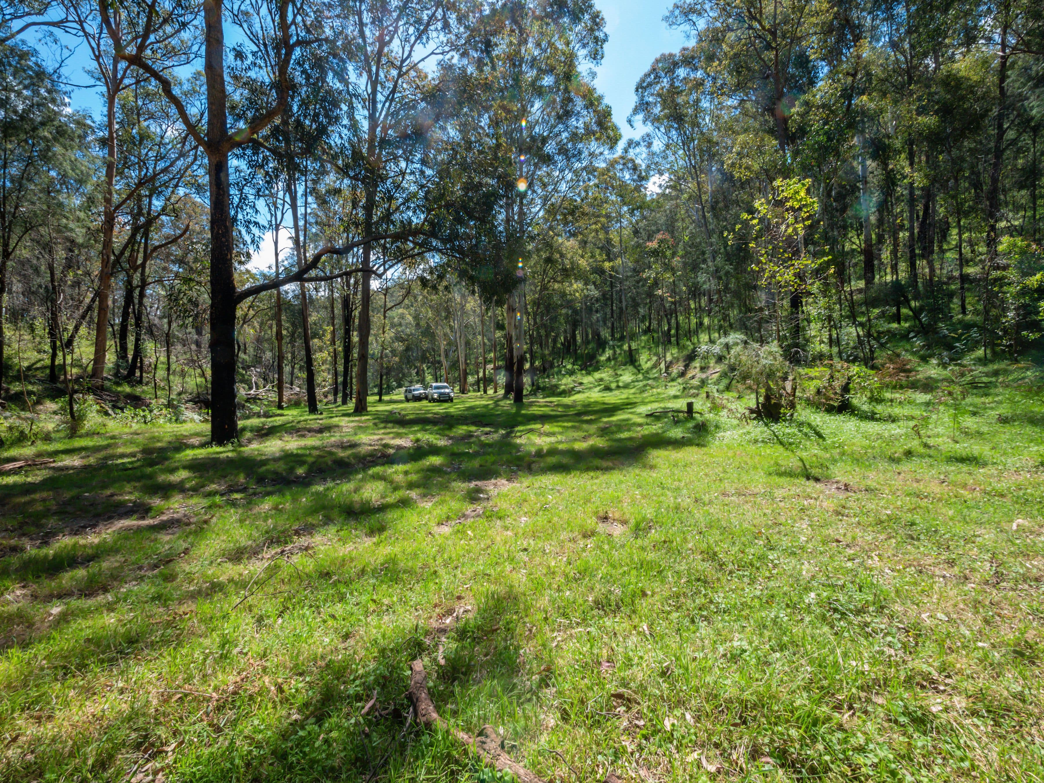1300 Putty Valley Road, Putty NSW 2330, Putty - Thumbnail 8