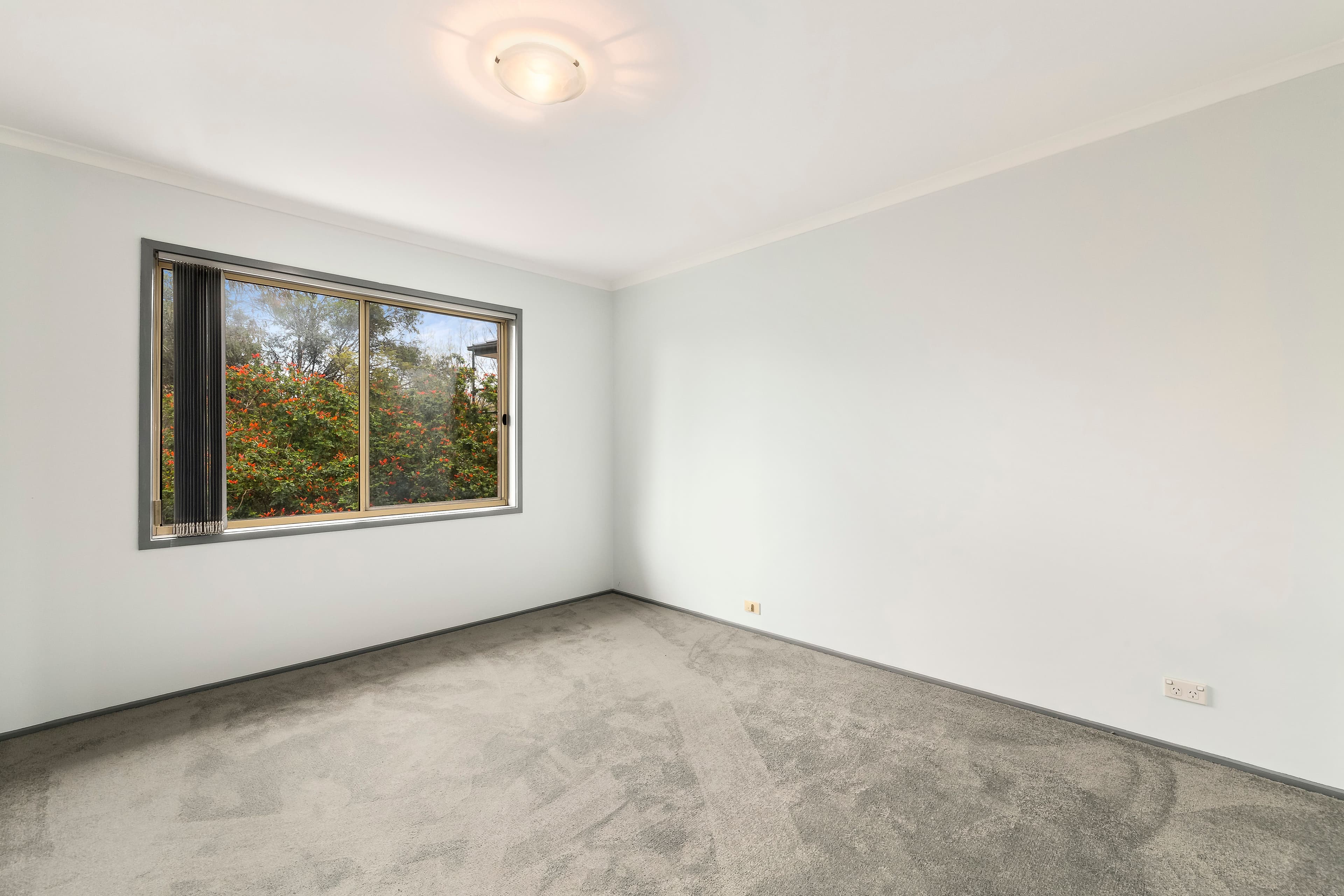7 Gubbah Court, Ashwood VIC 3147, Ashwood - Thumbnail 4