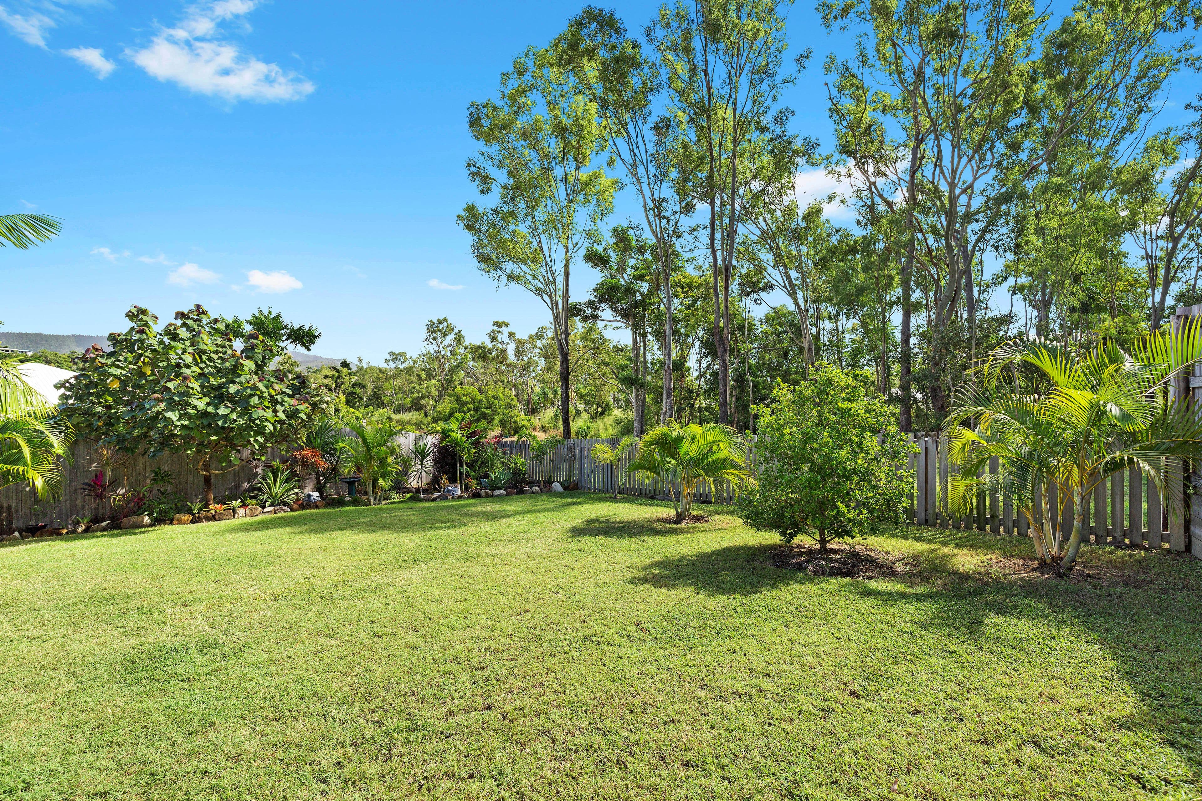 31 Twin Creek Court, Cannonvale QLD 4802, Cannonvale - Thumbnail 5