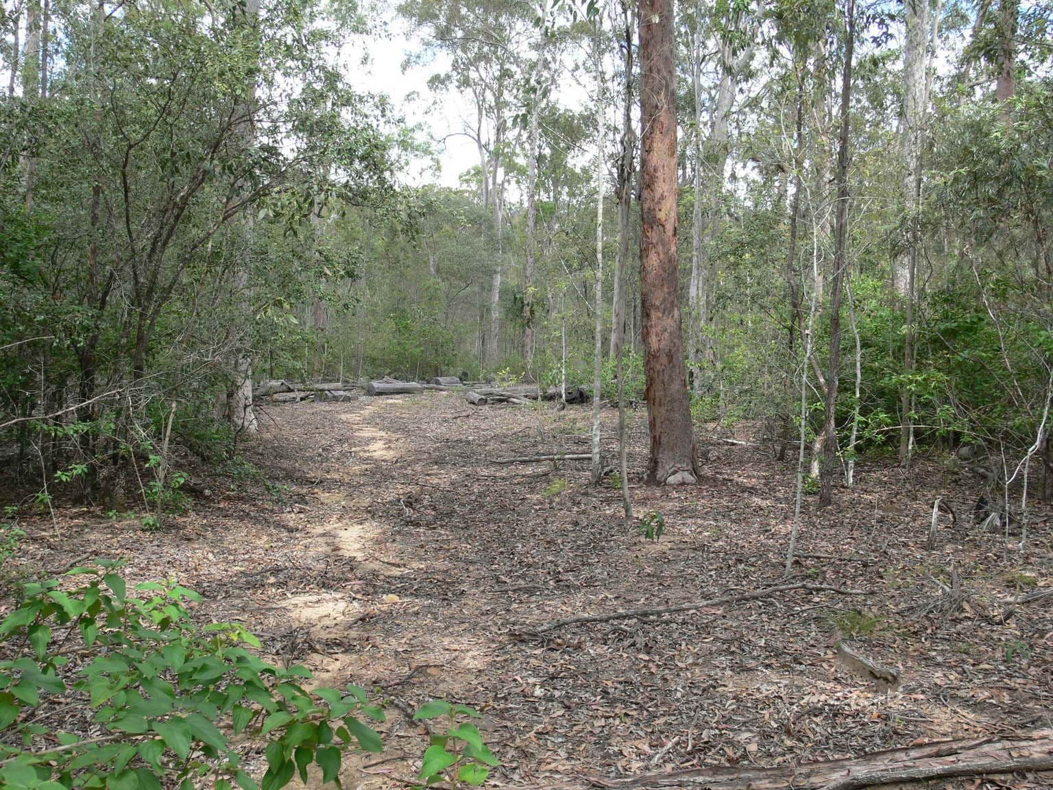 BUARABA QLD 4311, Buaraba - Thumbnail 5