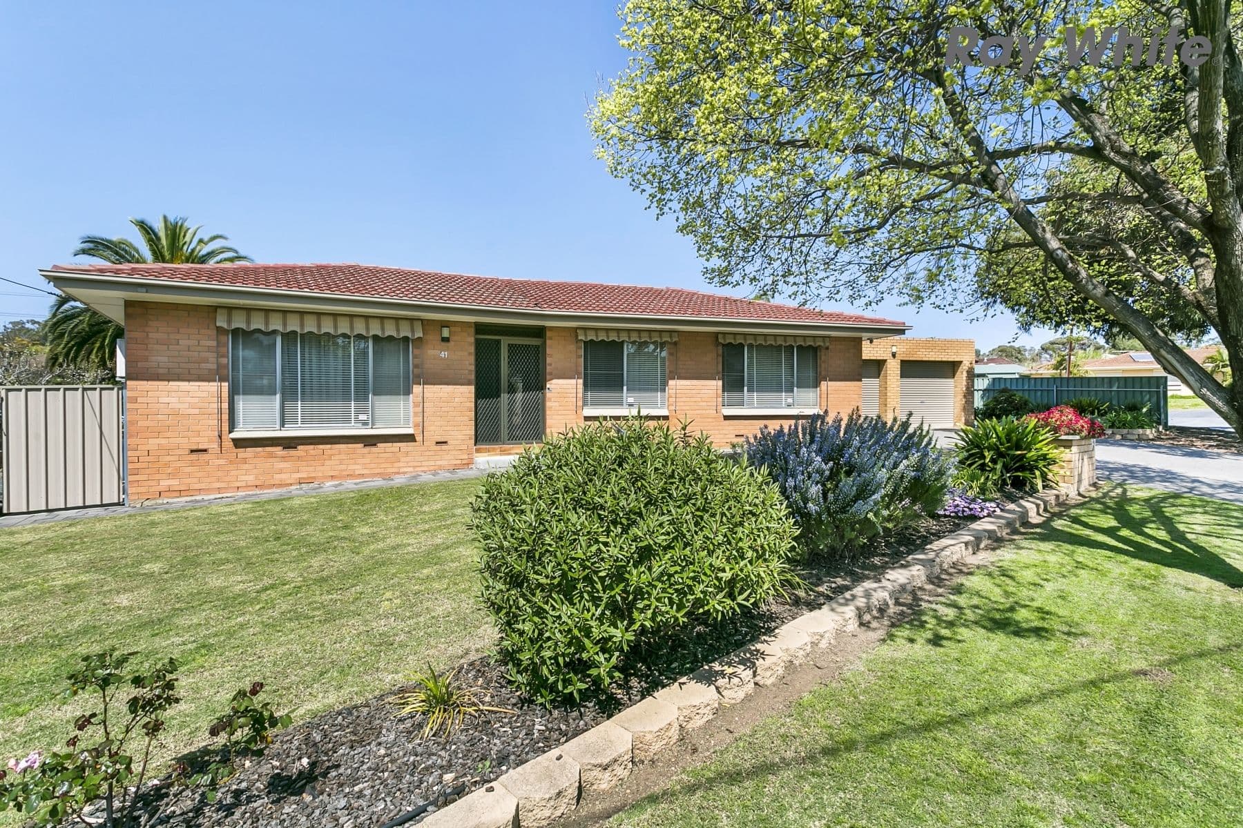 41 Beckman Avenue, Highbury SA 5089, Highbury - Image 1