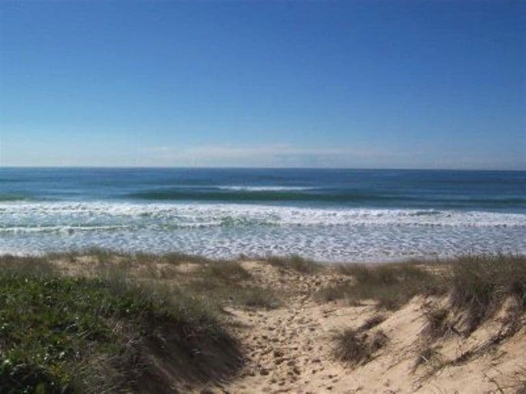 175  Oceanic Drive, WARANA QLD 4575, Warana - Thumbnail 2