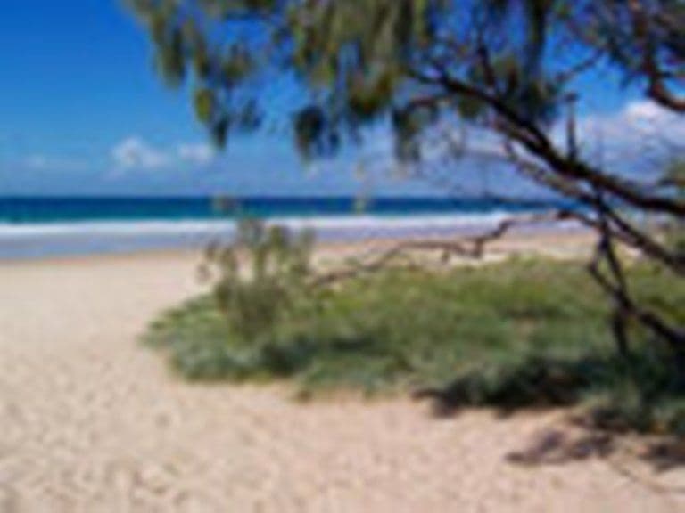 175  Oceanic Drive, WARANA QLD 4575, Warana - Thumbnail 5