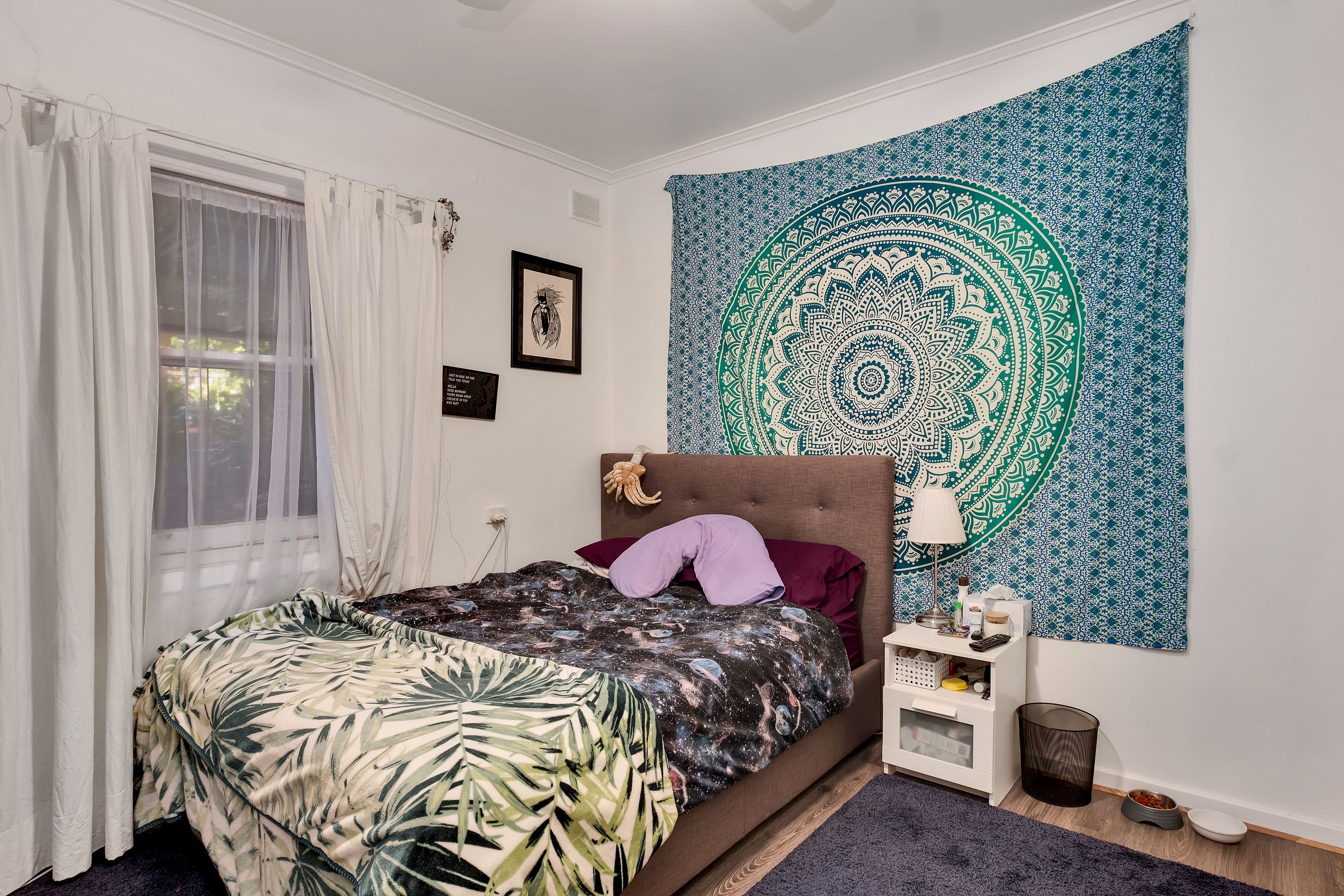 19 Bahloo Avenue, Mitchell Park SA 5043, Mitchell Park - Thumbnail 6