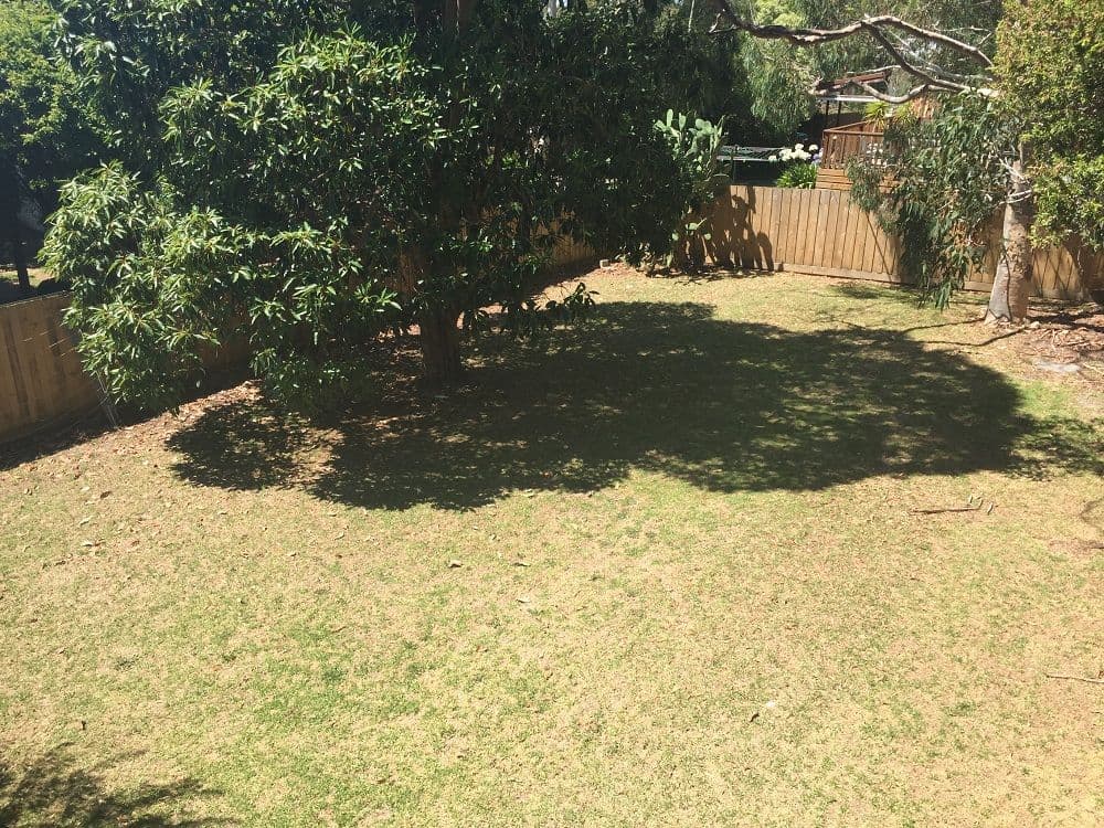 29 Wattle Road, McCrae VIC 3938, McCrae - Thumbnail 2