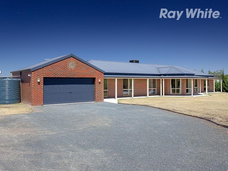 31 Lobbe Road, THURGOONA NSW 2640, Thurgoona - Image 1