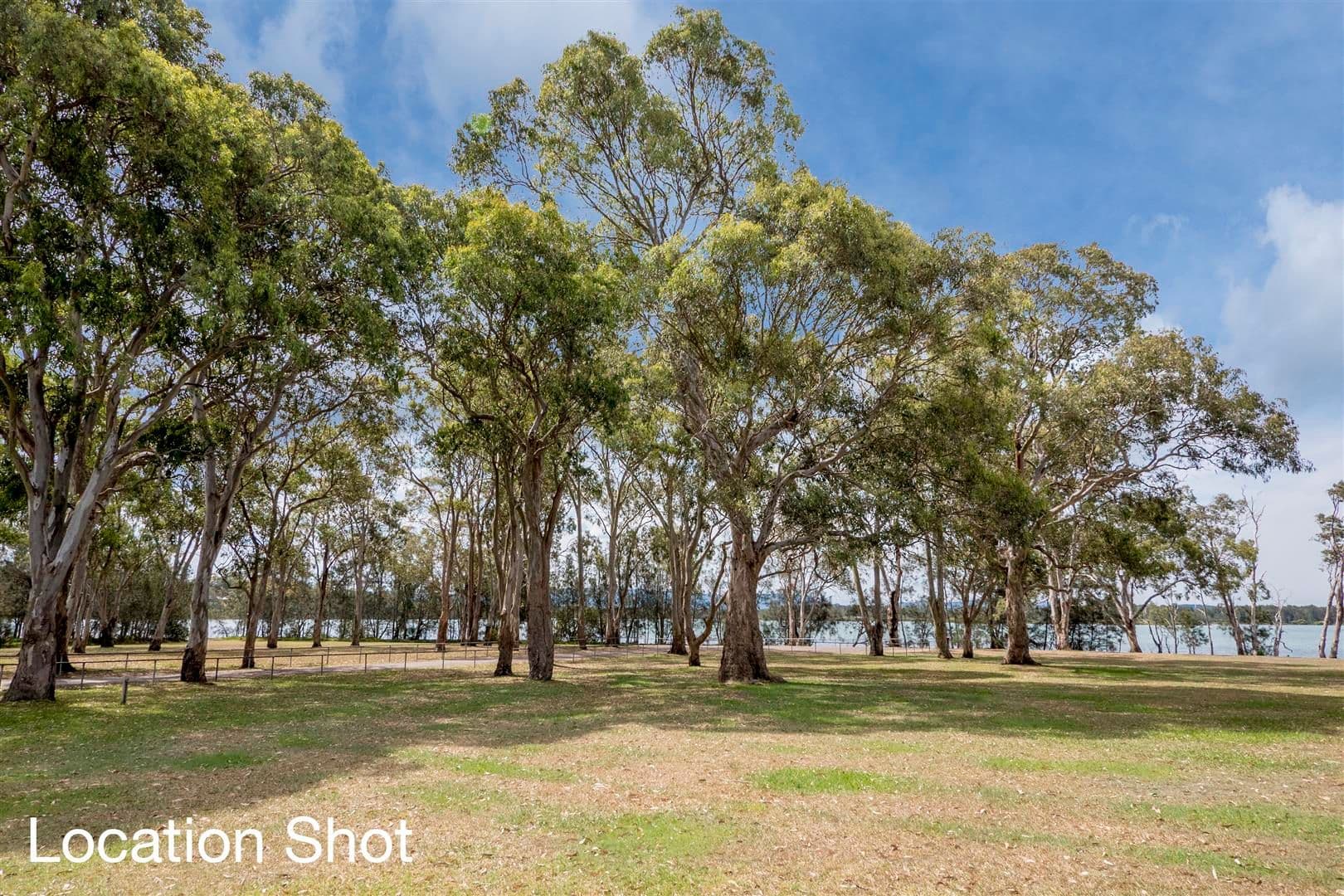 64 Wood Street, Bonnells Bay - Thumbnail 3