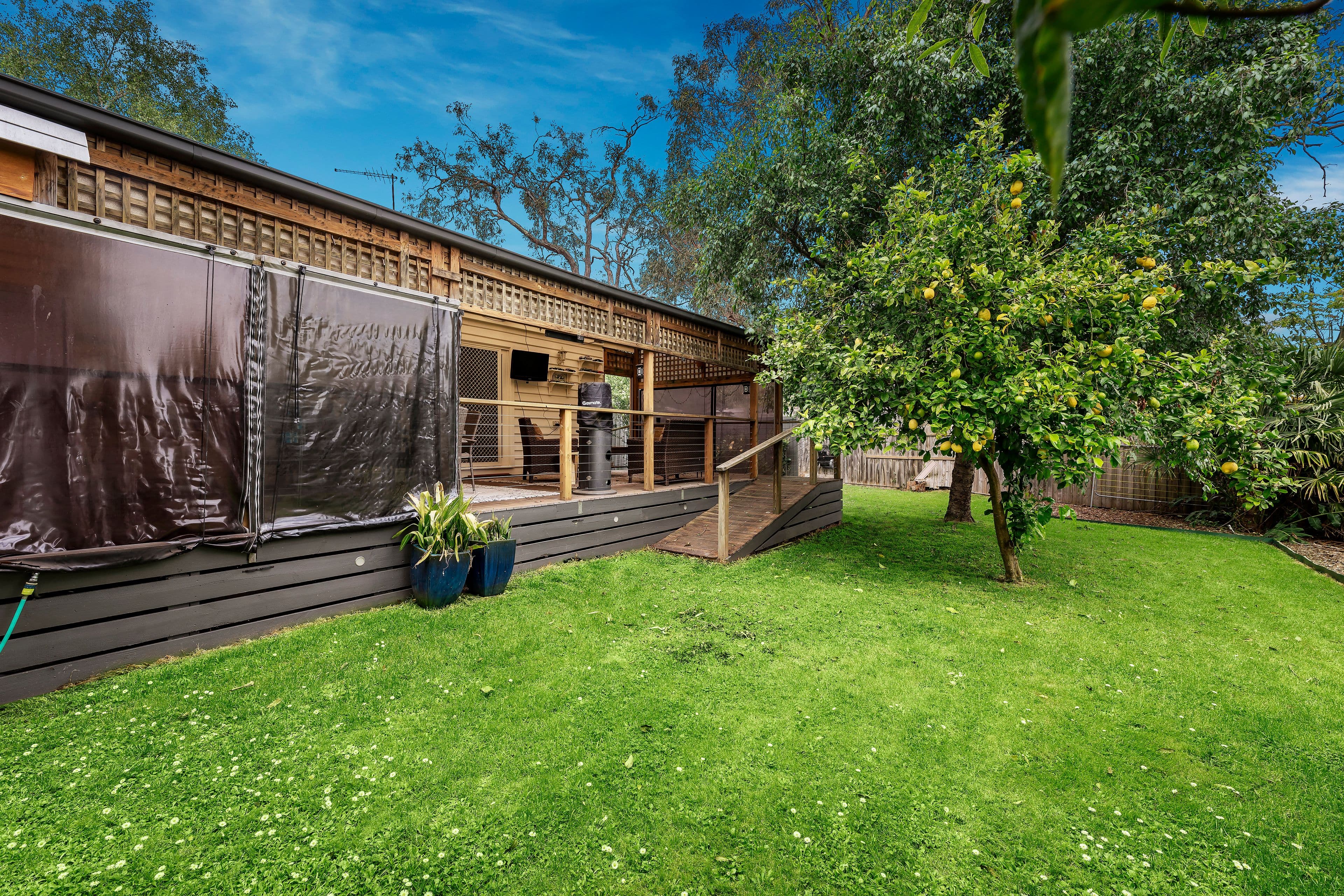 37 Moroney Street, Boronia VIC 3155, Boronia - Thumbnail 7