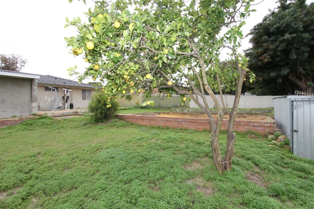 65 Koondoola Avenue, Koondoola WA 6064, Koondoola - Thumbnail 4