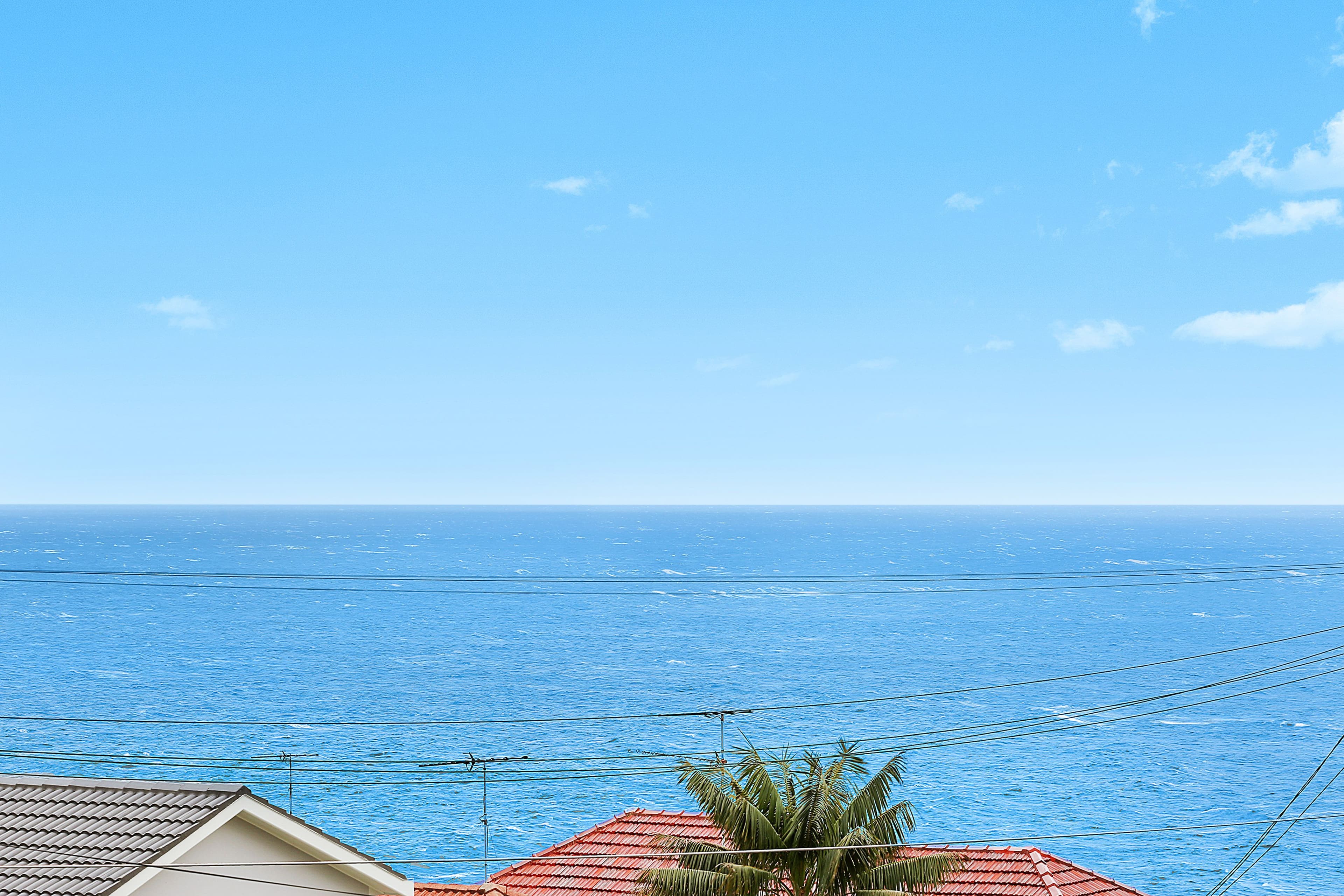 278 Military Road, Dover Heights - Thumbnail 8