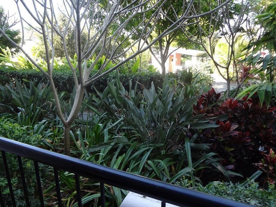 3 Lindwall Street, UPPER MOUNT GRAVATT QLD 4122, Upper Mount Gravatt - Thumbnail 4
