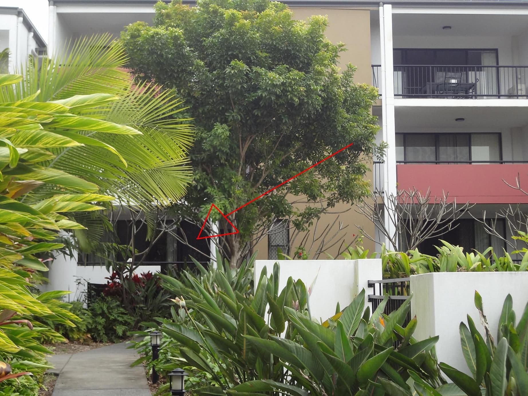 3 Lindwall Street, UPPER MOUNT GRAVATT QLD 4122, Upper Mount Gravatt - Thumbnail 6