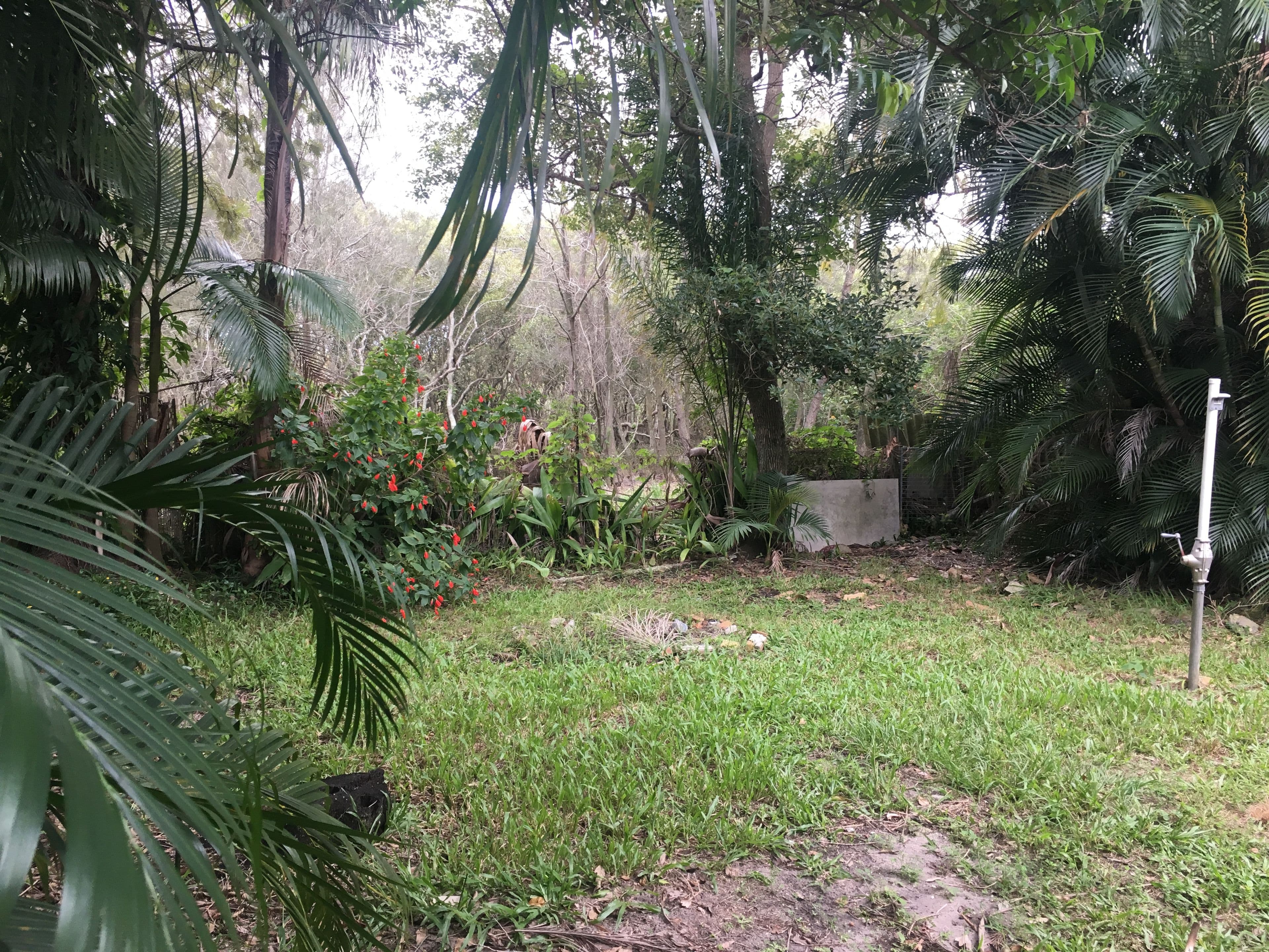 1243 Bribie Island Road, Ningi QLD 4511, Ningi - Thumbnail 5