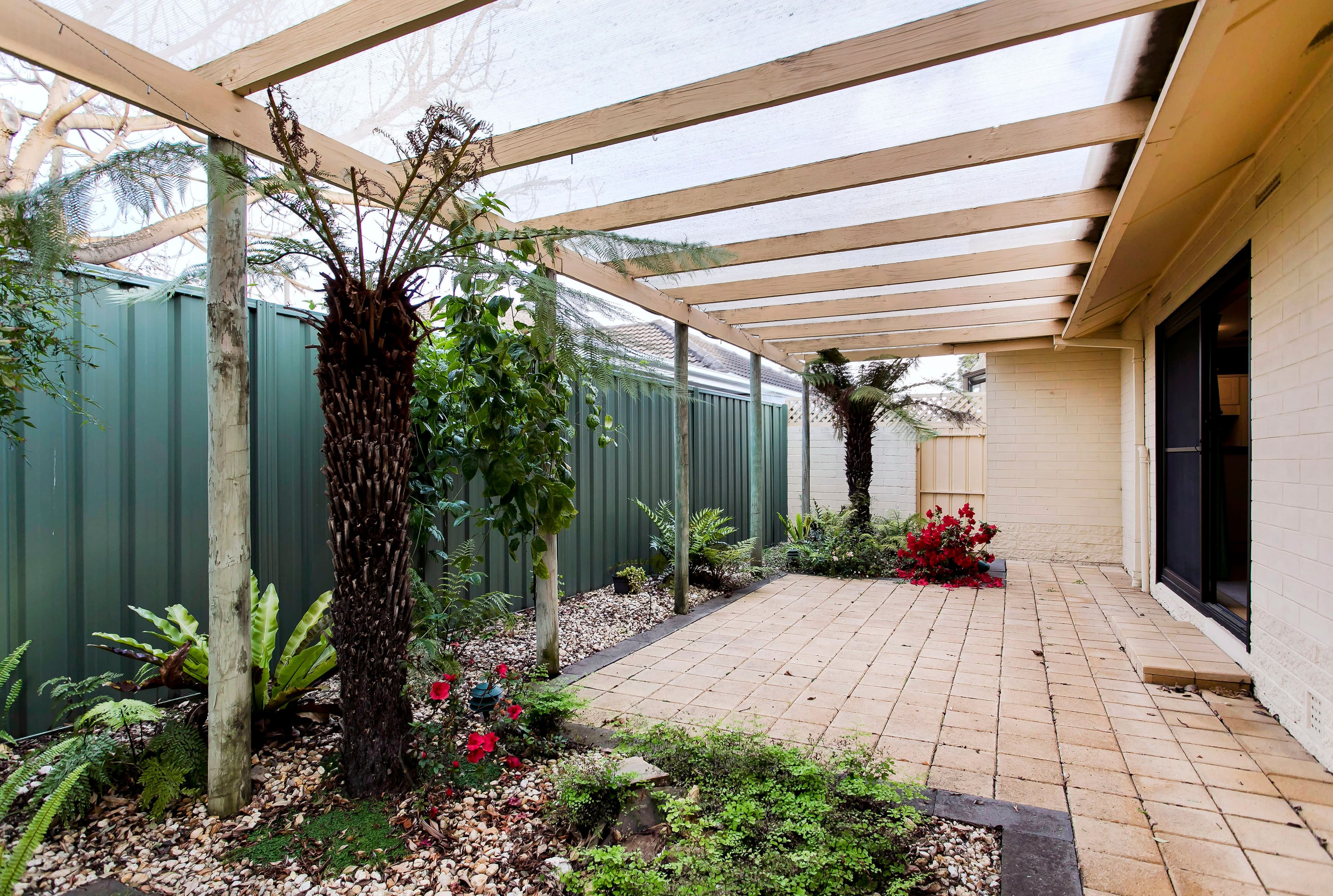 26 Sunningdale Avenue, Novar Gardens SA 5040, Novar Gardens - Thumbnail 4