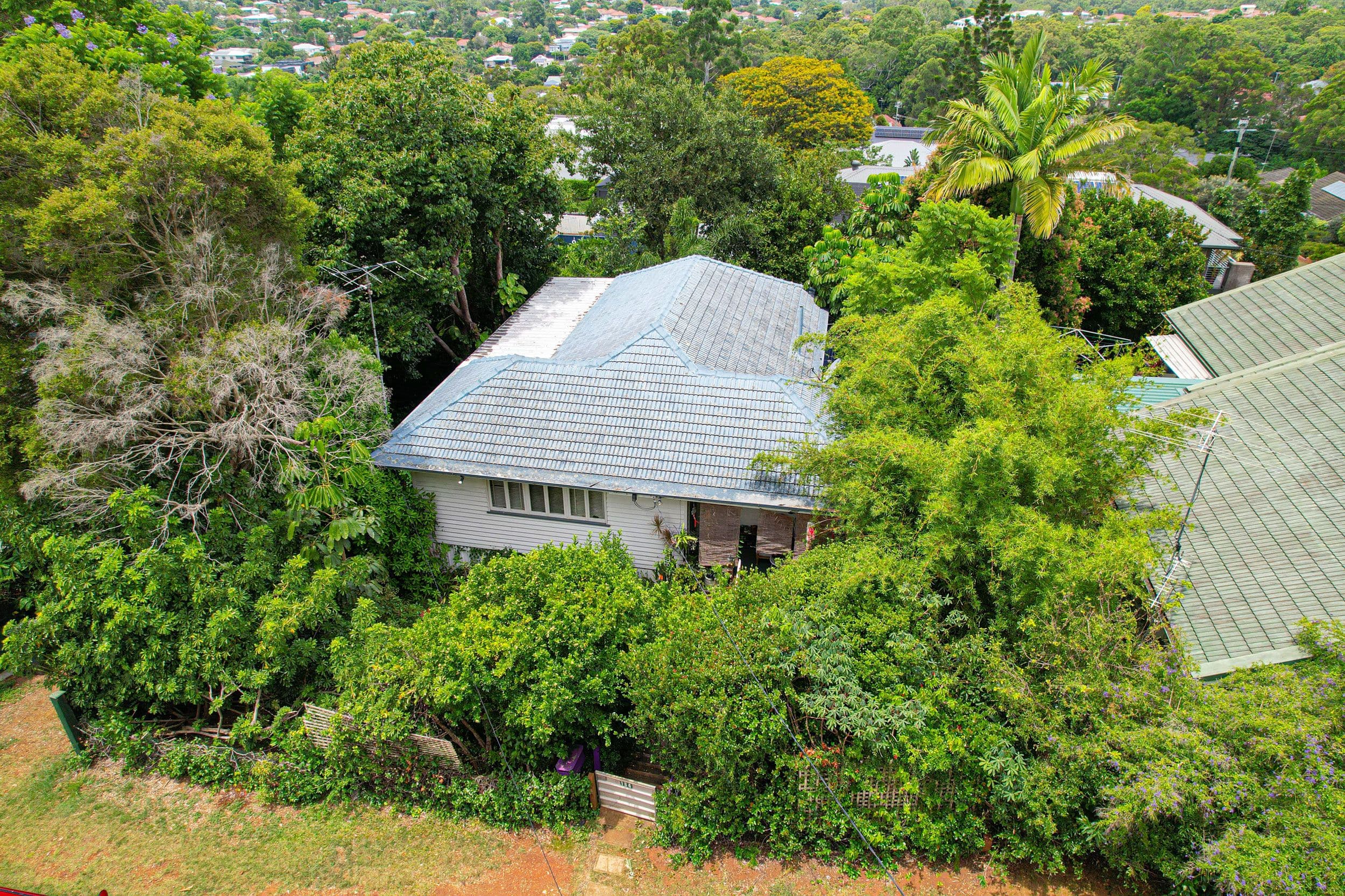 184 Andrew Avenue, Tarragindi QLD 4121, Tarragindi - Image 1