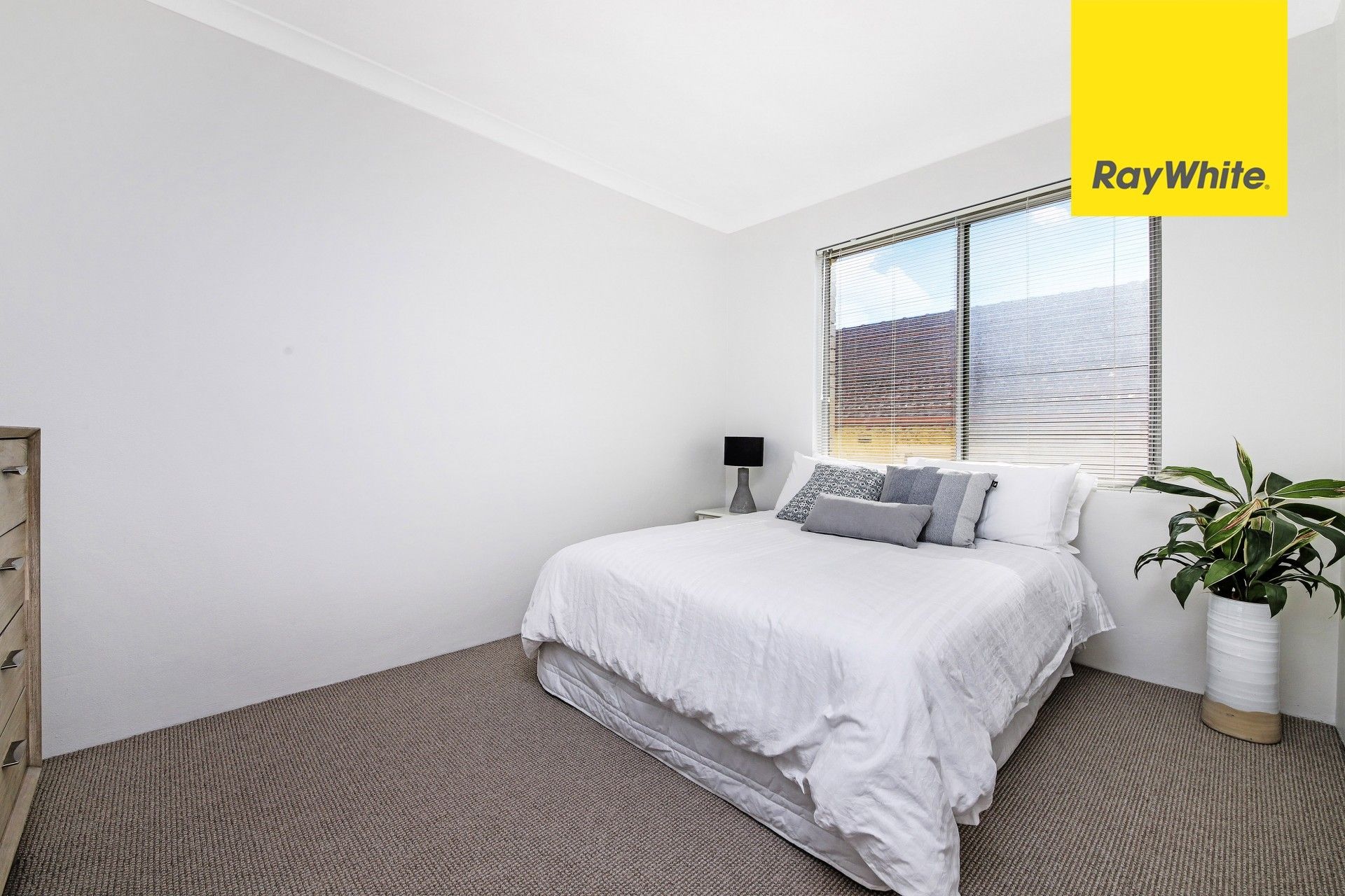 6 Willeroo Street, Lakemba NSW 2195, Lakemba - Thumbnail 6
