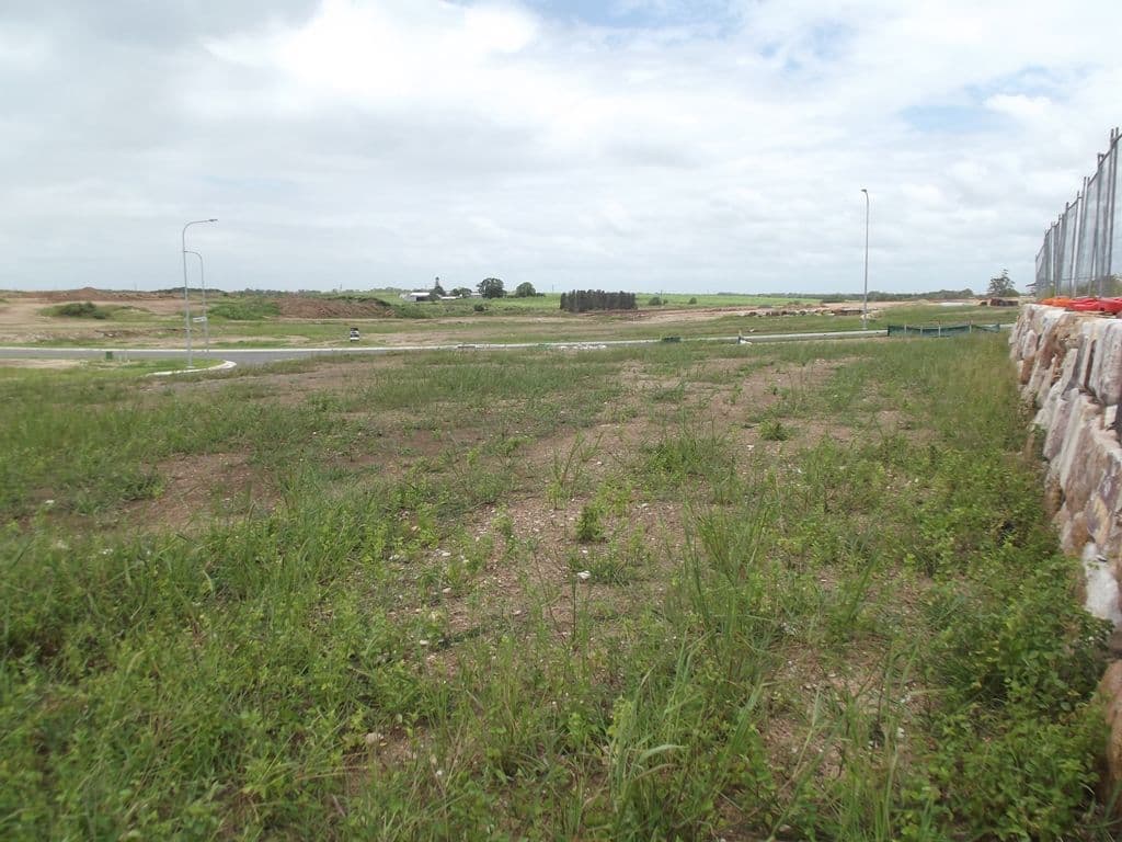 60 Spring Way, Nikenbah QLD 4655, Nikenbah - Image 1