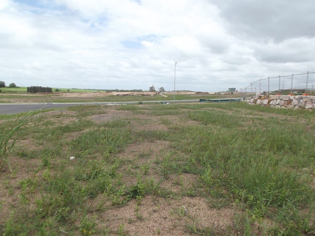 60 Spring Way, Nikenbah QLD 4655, Nikenbah - Thumbnail 2