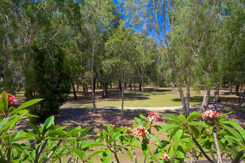 46 Tallara Street, COOMBABAH QLD 4216, Coombabah - Thumbnail 5