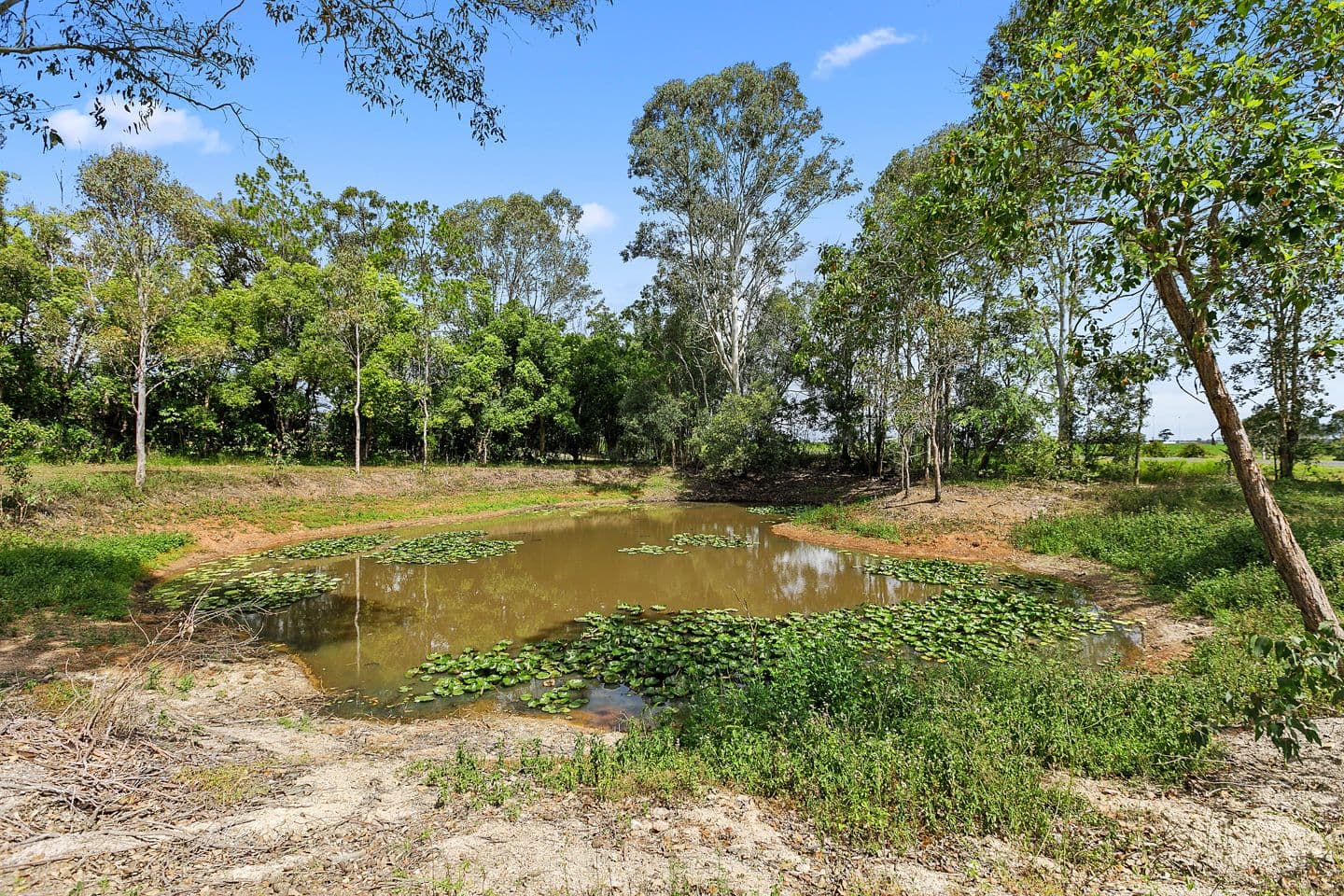 79 Chapel Road, Nikenbah QLD 4655, Nikenbah - Thumbnail 4