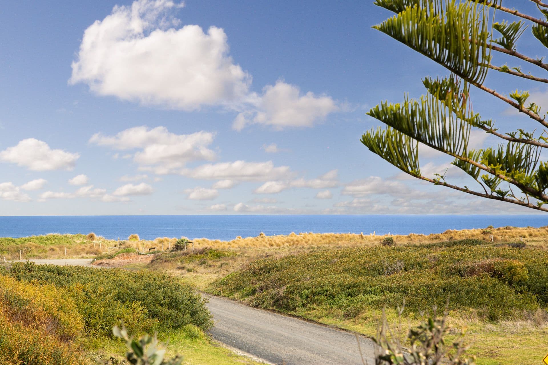 115 Lantana Road, Cape Woolamai VIC 3925, Cape Woolamai - Image 1