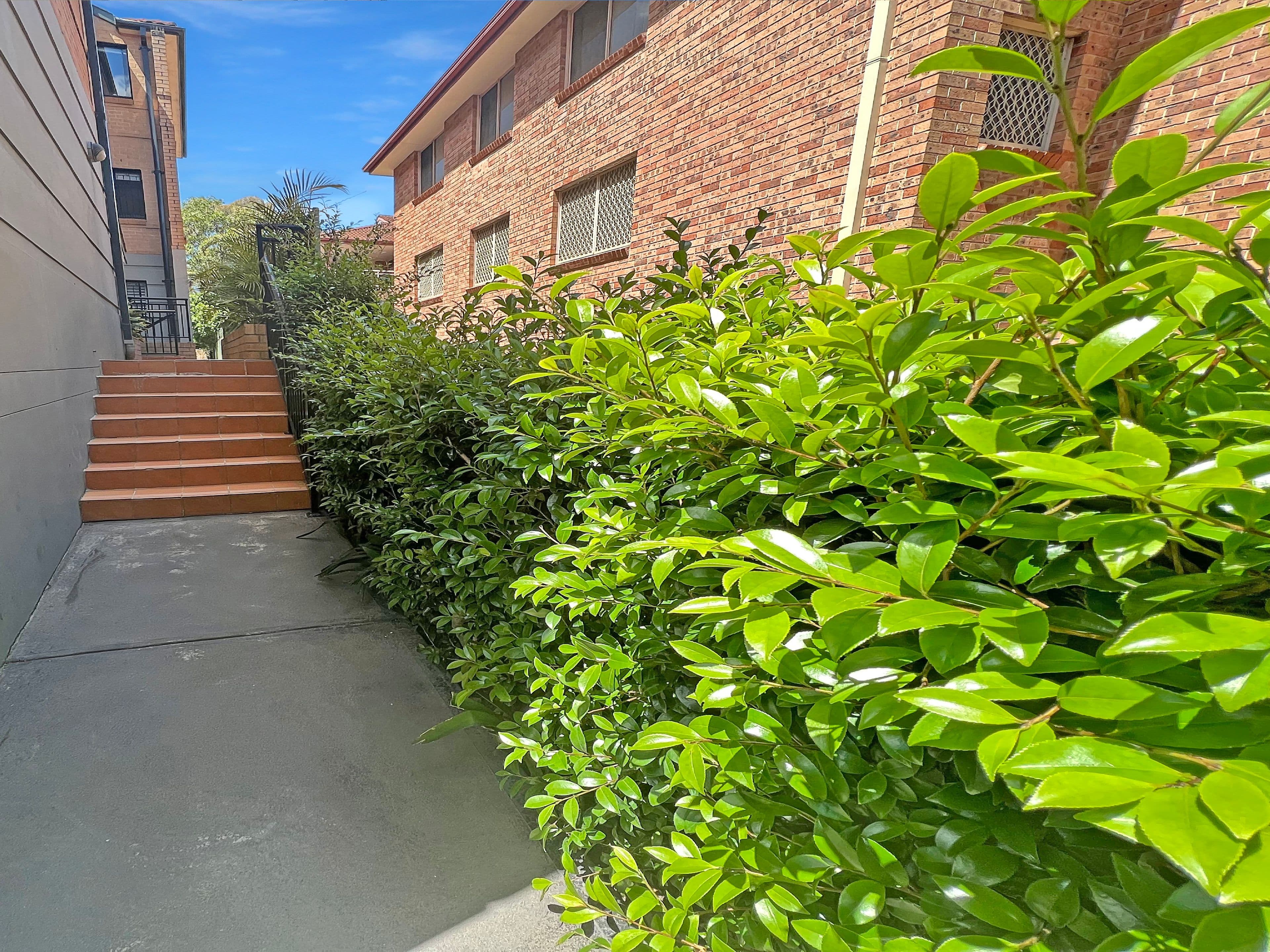 54 Melvin Street, Beverly Hills NSW 2209, Beverly Hills - Thumbnail 2