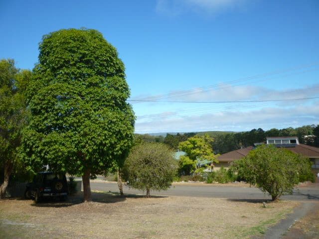 31 Bavin Street, Denmark WA 6333, Denmark - Thumbnail 3